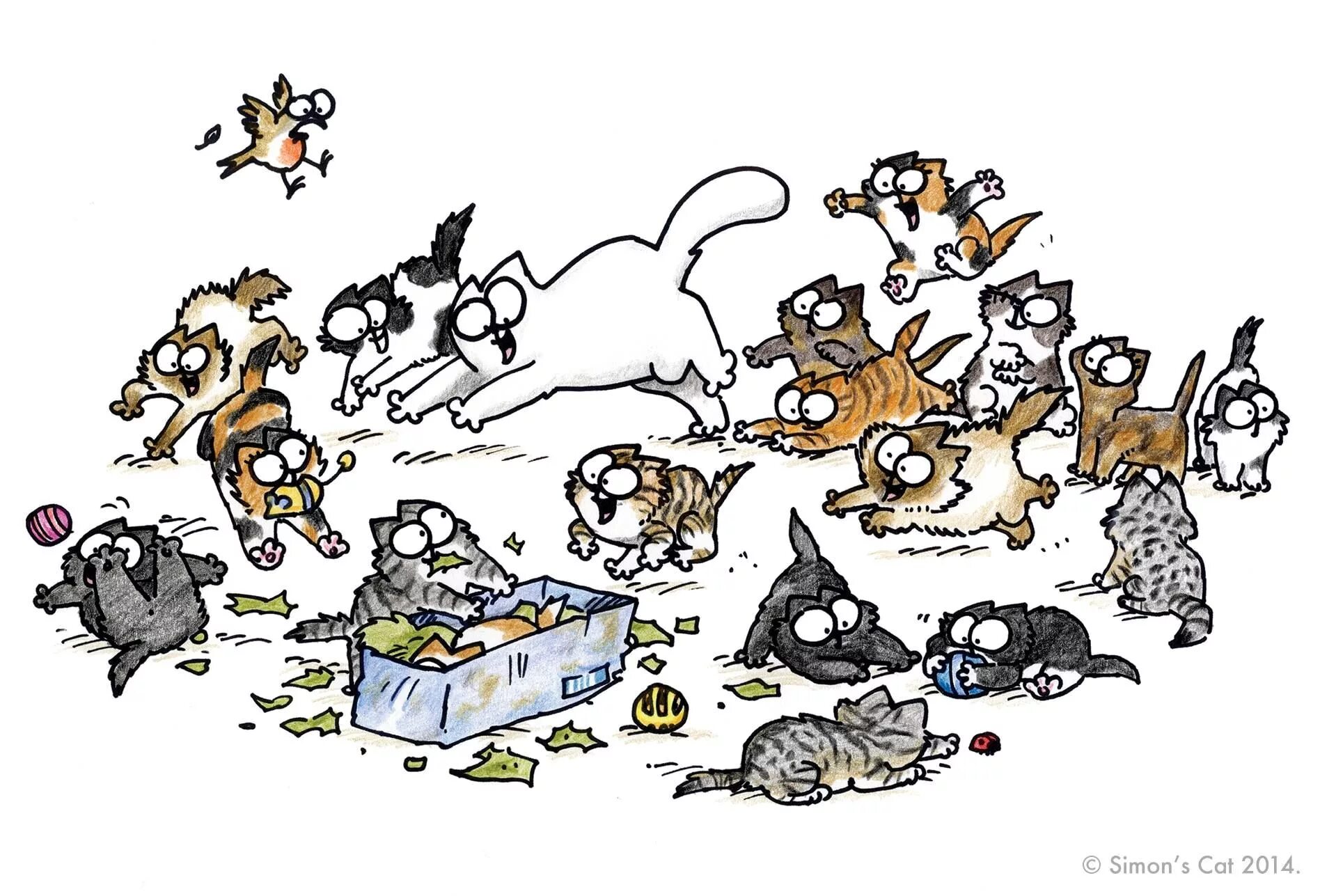 Играть много кошек. Кот Саймон. Много кошек рисунок. Много котят рисунок. Кот Саймон цветной.