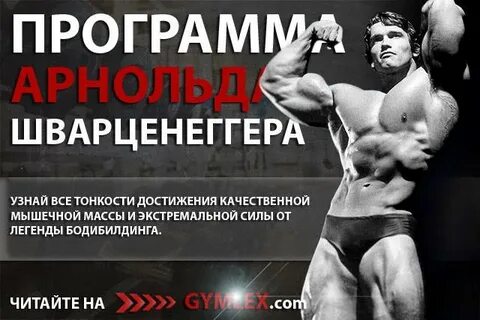 Программа арнольда шварценеггера на массу