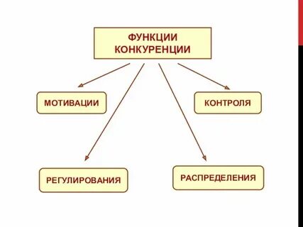 Какую функцию выполняют девушки