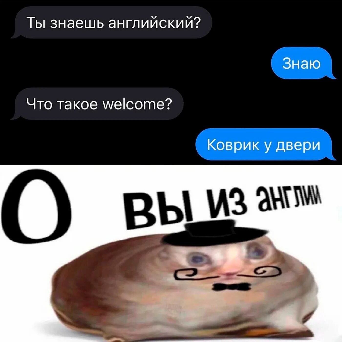 О вы из англии кот. О да вы из англии мем. о вы изнглии. мемы о вы из англии. о вы из англии мем кот.