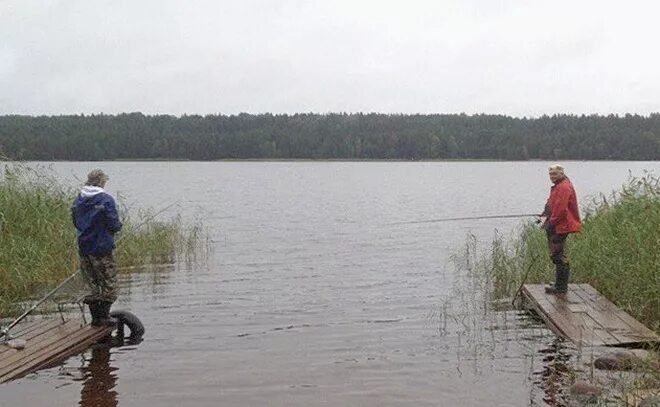 Суходольское озеро рыбалка. Река бурная рыбалка. Река бурная Приозерский. Речка клева