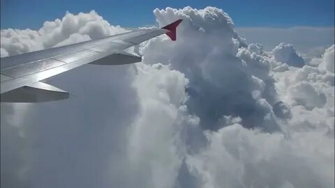 Видео крыла