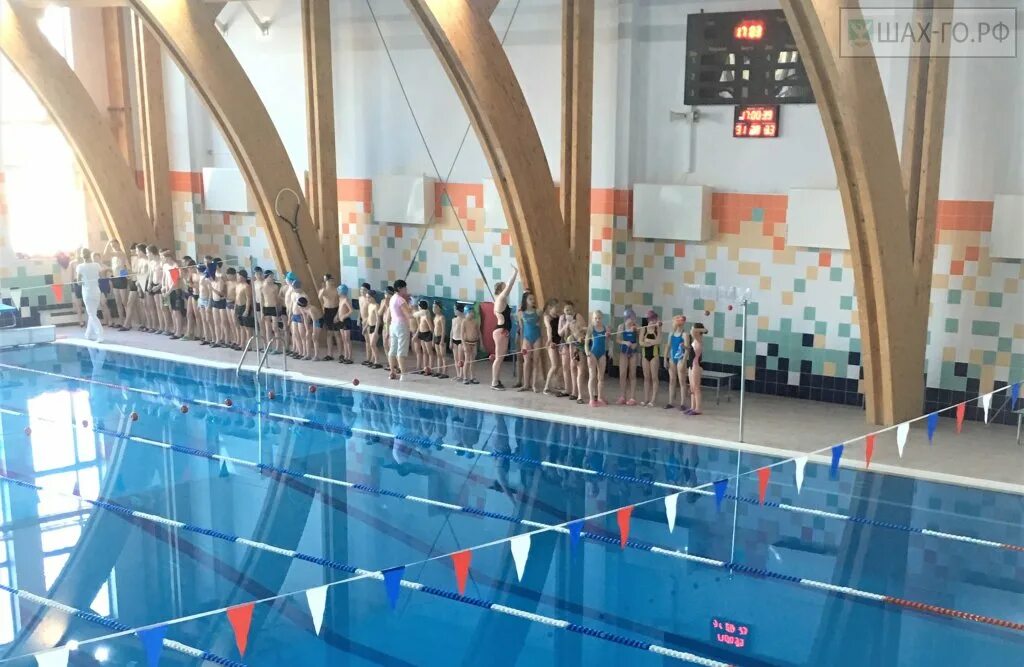 Бассейн в шаховской. Бассейн шаховская. Веселые старты в бассейне. Шаховской док. Московская область шаховская док старт.