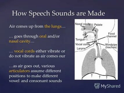 Sounds are