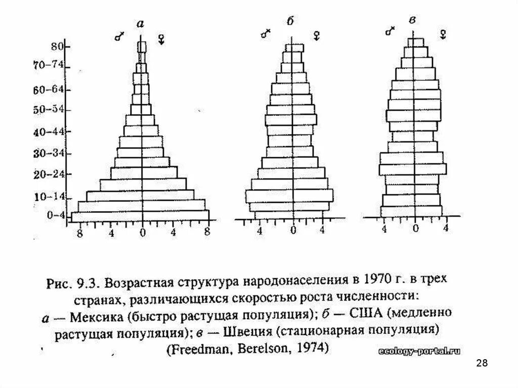 Возрастной структурой популяции называется. Возрастная пирамида швеции. возрастная структура мексики. возрастная структура популяции пирамиды возрастов. возрастная пирамида растущей популяции.