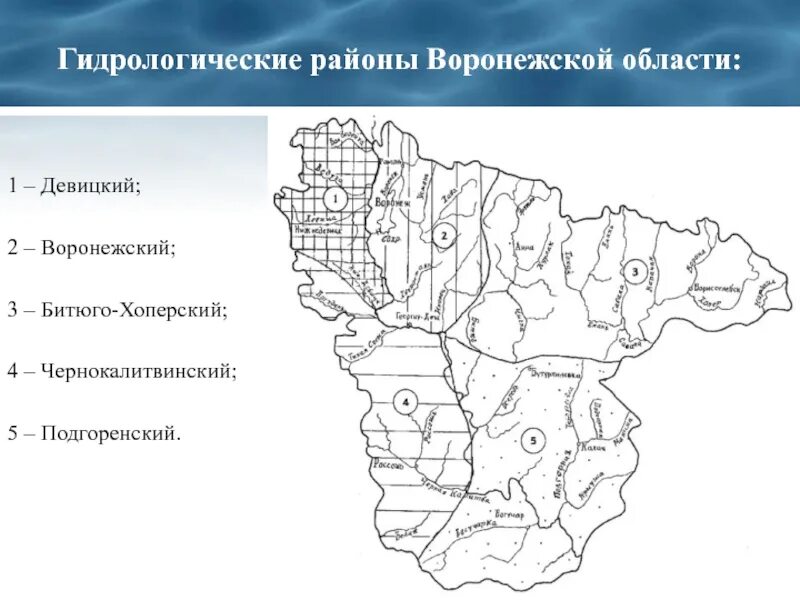 Реки Воронежской области на карте. Физико-географическое районирование Воронежской области. Контурная карта Воронежской области с реками. Районирование Воронежской области.