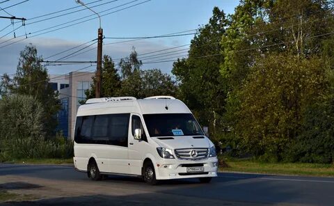 Луидор 2234