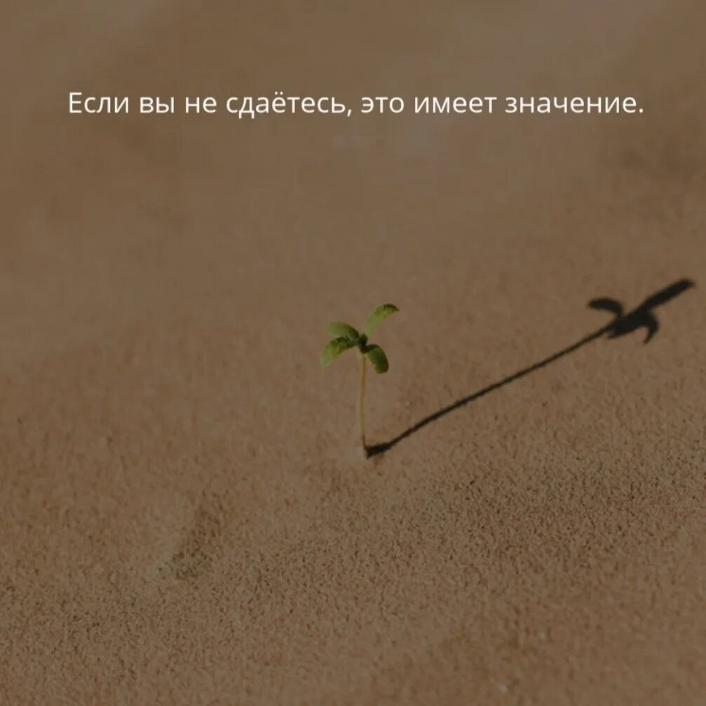 Не имеет значение как хочешь