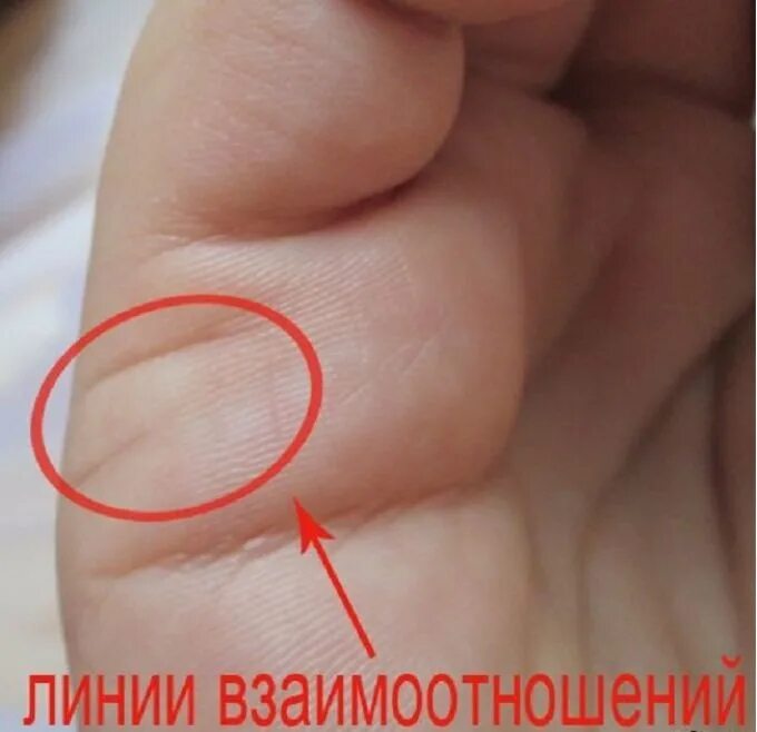 Где находится линия любви на руке: самопознание по хиромантии! Узнай свою судьбу