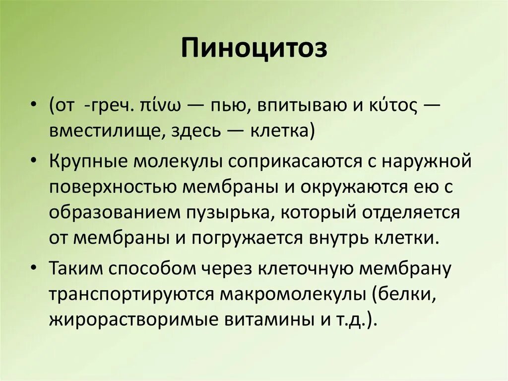 Везикула функции. Пиноцитоз. пиноцитоз функции. пиноцитоз этапы. функции пиноцитоза.