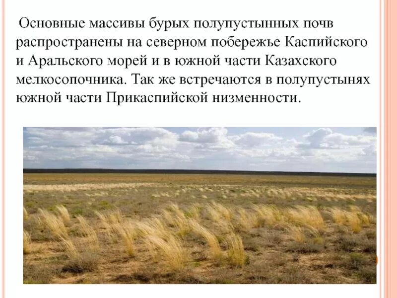 Полупустыни и пустыни почвы. Бурые полупустынные почвы природная зона. бурые полупустынные почвы россии. бурые полупустынные почвы. бурые полупустынные почвы распространение.