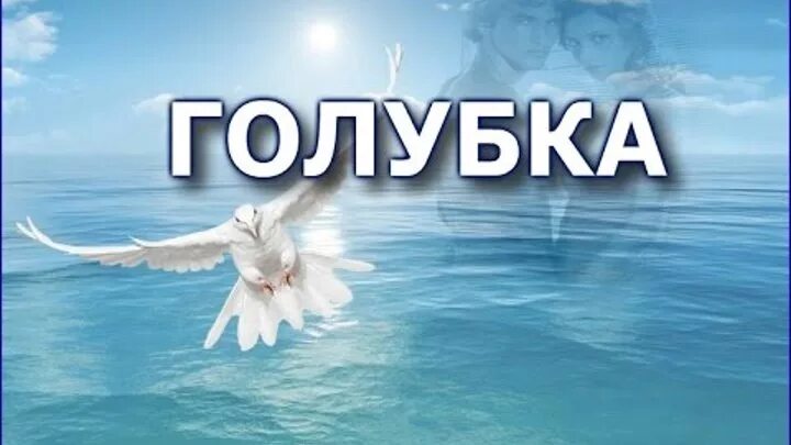 Ланфрен-ланфра ноты для фортепиано. Текст про голубя. Слова песни голубка. Песня голубка песня текст. Голубка ноты для гитары.