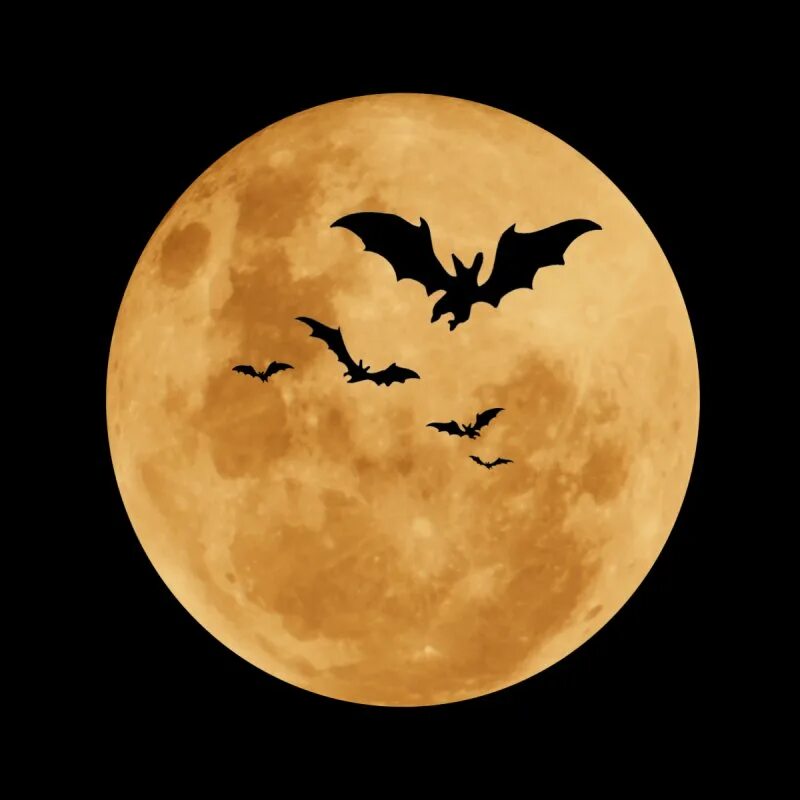 Луна хэллоуин. Луна и летучие мыши. Хэллоуинская луна. Луна хэллоуин. Хэллоуинская луна.