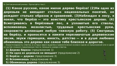 Диктант синтаксический разбор