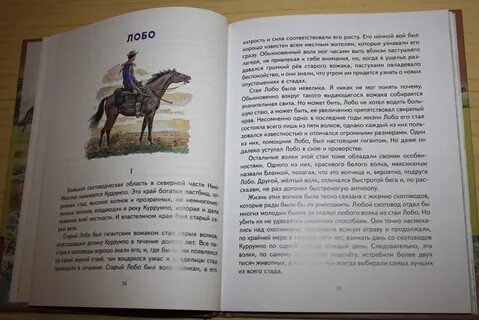 Рассказы о животных сетон томпсон краткое содержание