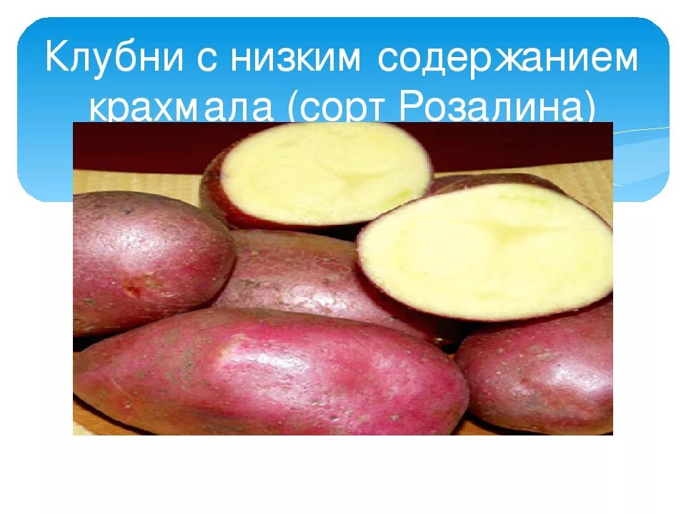 Картофель содержит 20 крахмала. Картофель без крахмала сорта. картошка без крахмала для диабетиков. картофель сорта с меньшим крахмалом. без крахмальный картофель сорта.