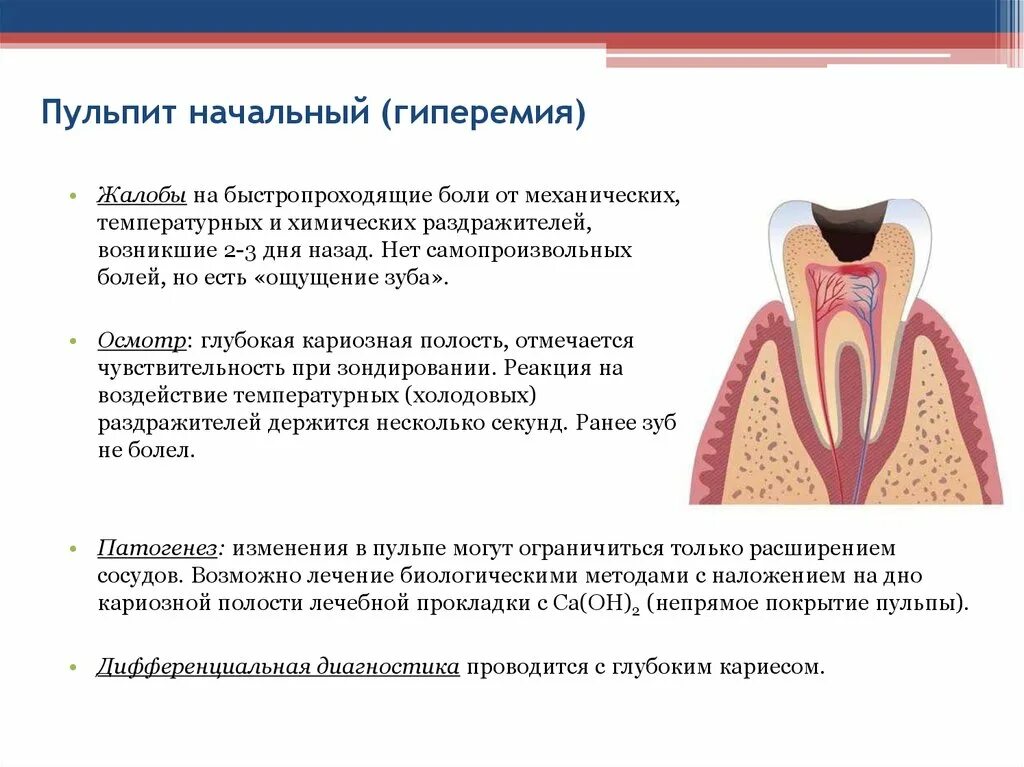 Острый очаговыф пульпит ПАТ анатомия. 4 Клинические проявления острого диффузного пульпита. Острый очаговый пульпит зуба 1.1. Острый серозный очаговый пульпит.