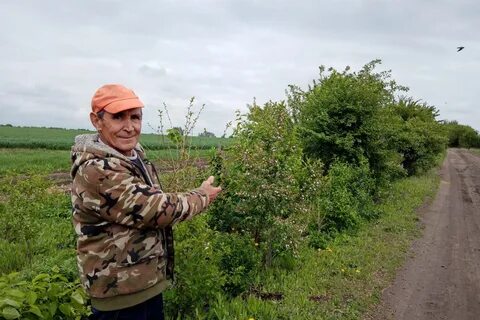 Гисметео черемное павловского