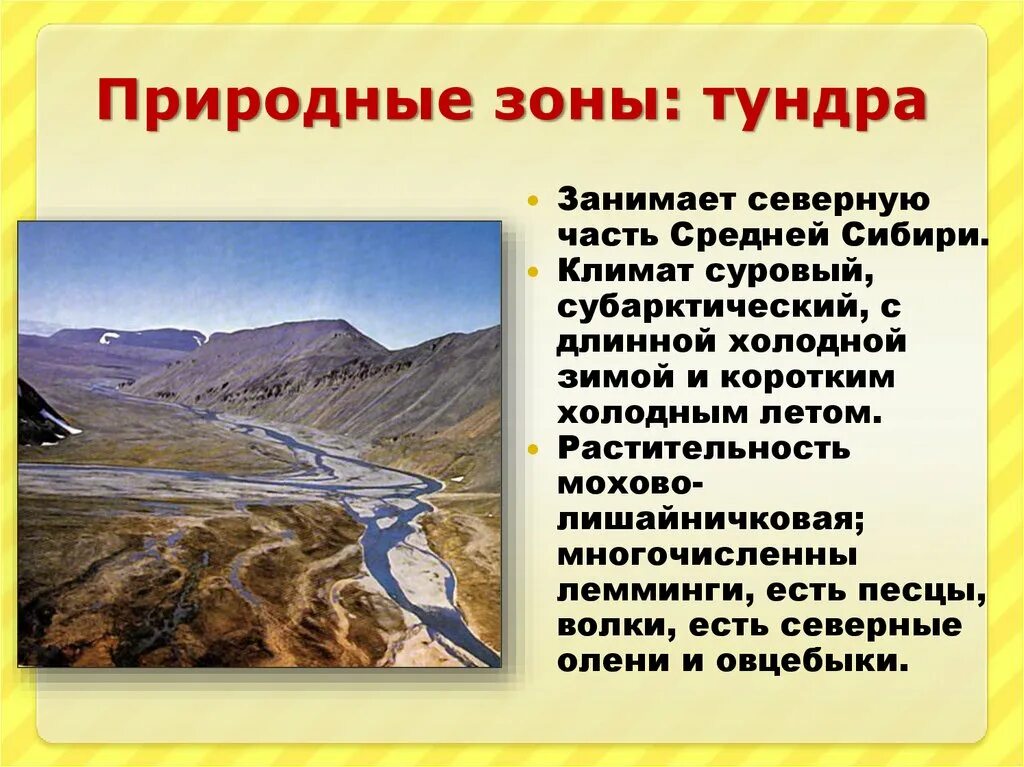 Климат средней Сибири. Природные зоны средней Сибири. Природный комплекс тундры. Средняя Сибирь природные зоны России. Природная характеристика сибири