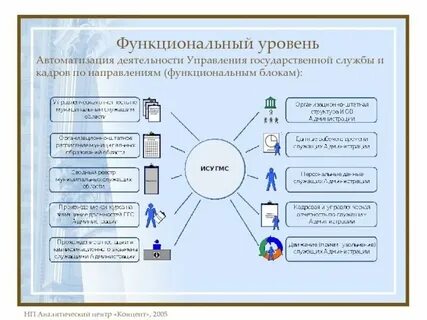 Основные направления автоматизации управления