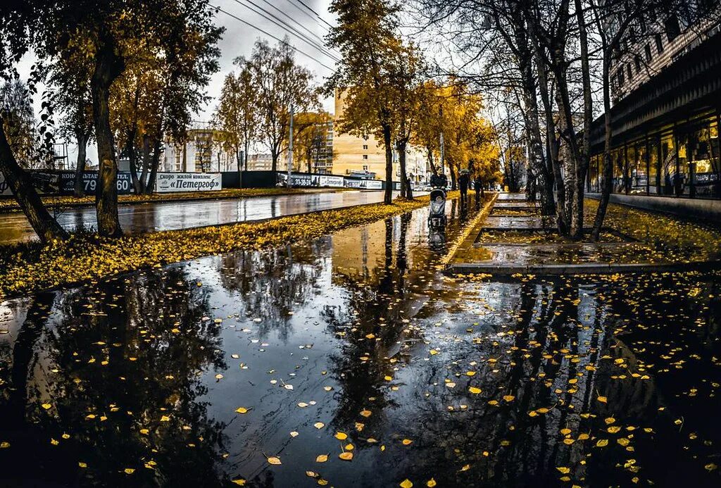Чистопрудный бульвар осень. Осень в городе. Дождь осенью. Осень дождь.