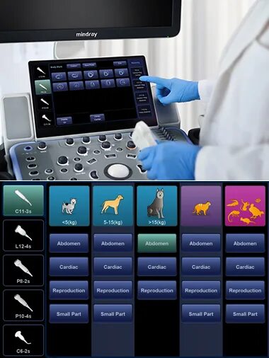 Mindray vetus. Миндрей ветус 7. узи миндрей ветус 7. vetus 5 mindray. миндрей ветус 8.