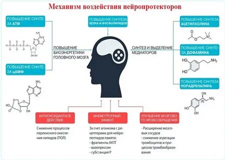 Нейропротекторы