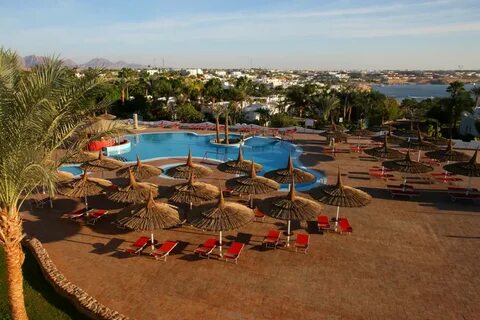 Domina coral bay harem шарм эль шейх