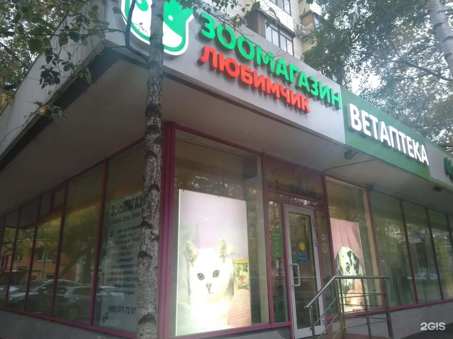 зоомир новосибирск. зоомагазин новосибирск адрес. зоомагазин зебра новосибирск дуси ковальчук. котмарт зоомагазин. аква зооцентр новосибирск.