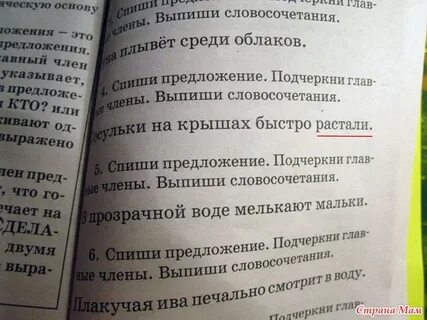 Ночная птица коснулась меня крылом выпишите словосочетания