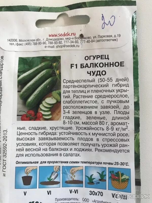 Чудо огурцы отзывы. Огурец балконное чудо f1 седек. огурец f1 балконное чудо семена седек. огурец оконно-балконный f1(седек) 0,2г. огурец оконно-балконный f1 седек.