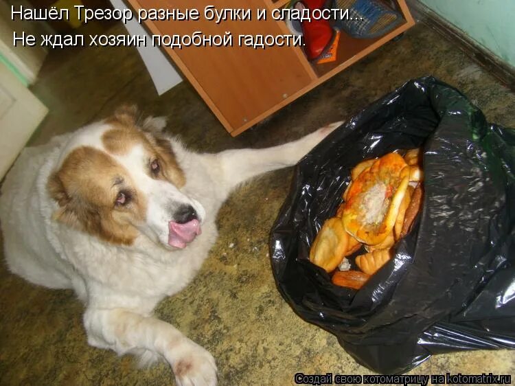 Довезти или довести как правильно