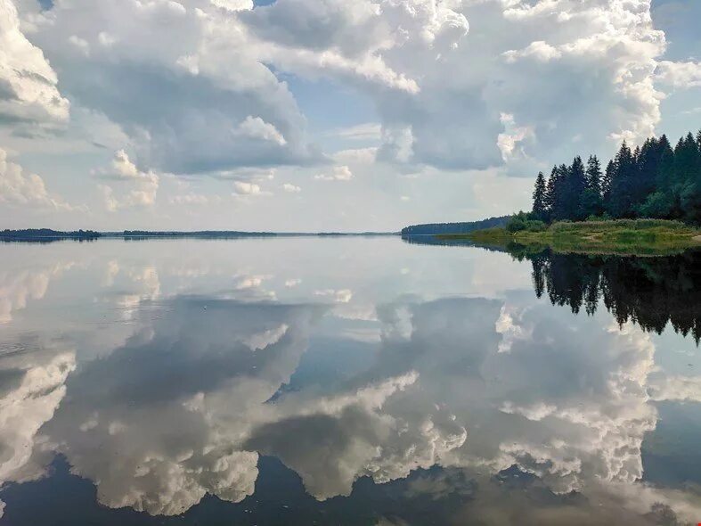 Белое озеро Селигер. Белое озеро Тверская область Селигер. Голубое озеро на Селигере. Кольчугино озеро Селигер. Озеро селигер отдых 2024