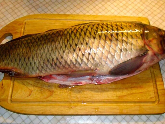 Сварить сазана. Сазан фаршированный. Сварить сазана. Сазан запеченный в духовке. Рыба запеченная целиком.