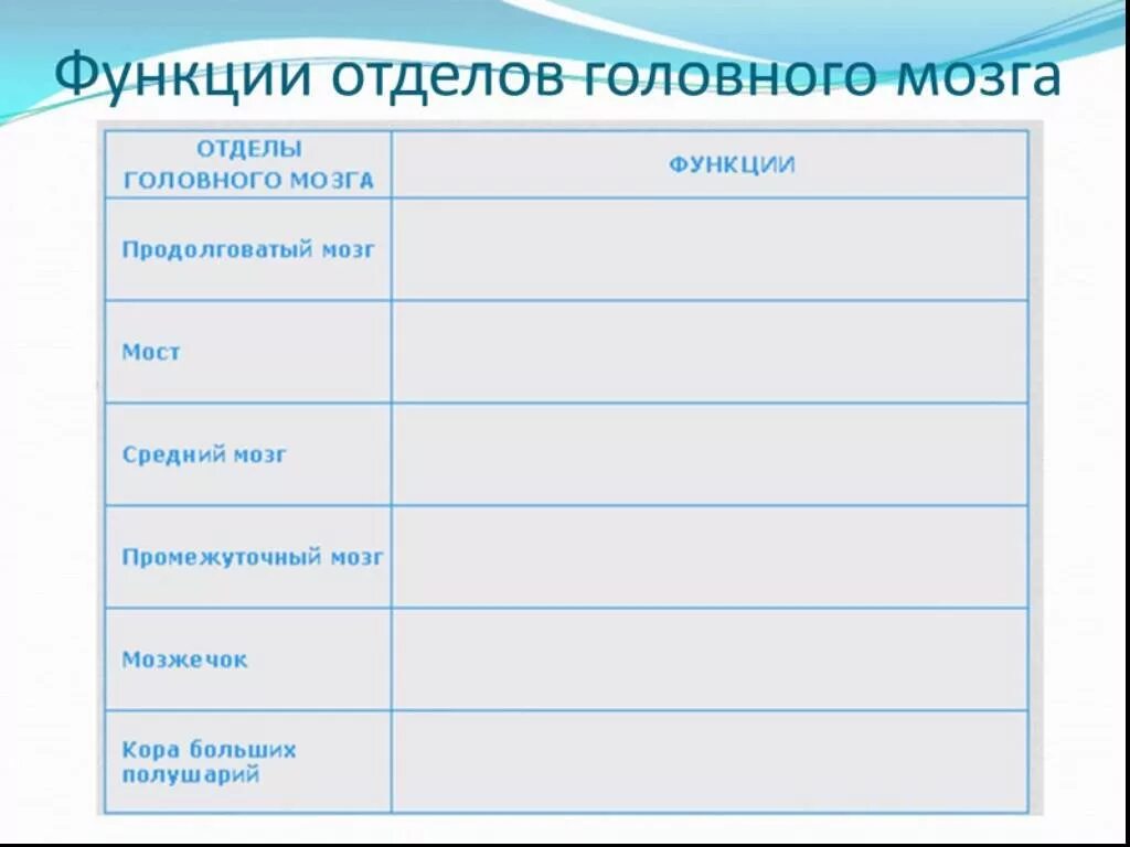 Функции отделов головного мозга биология 8 класс. Таблица по биологии отдел головного мозга и функции. Функции отделов мозга таблица. Выписать функции отделов головного мозга. Заполните таблицу функции отделов головного мозга