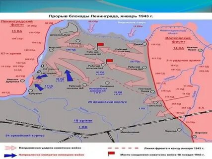 Новгородско лужская операция