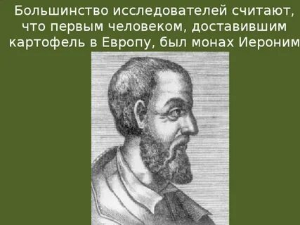 Большинство исследователей