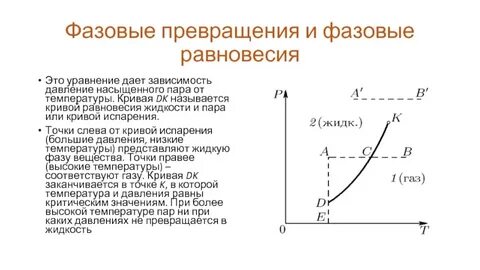 Кривая равновесия фаз