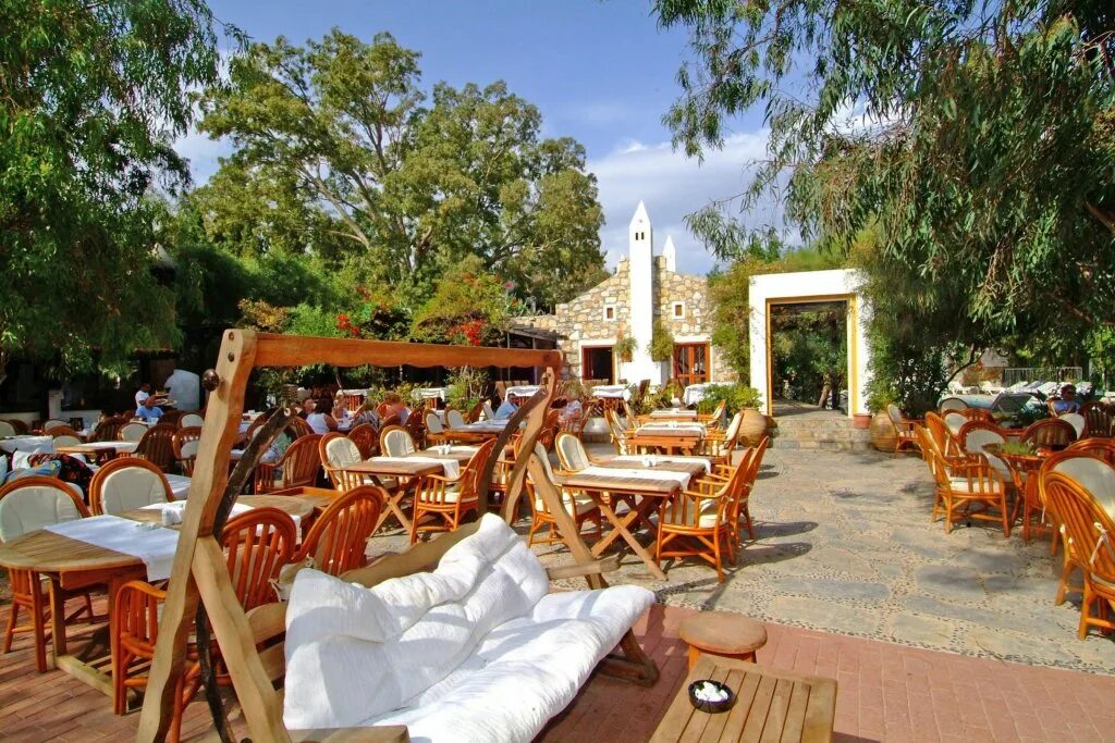 Окалиптус. Okaliptus hotel 4 турция бодрум фото. Okaliptus hotel 4. Okaliptus hotel 4 турция бодрум фото. Okaliptus hotel 4.
