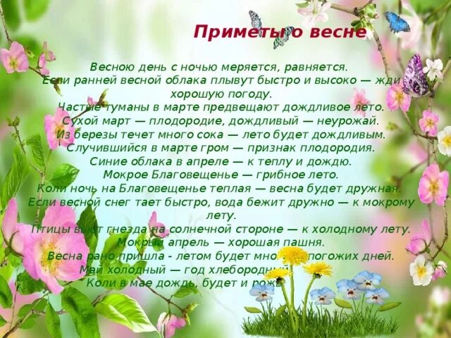 Приметы весны для 2 класса окружающий. Приметы весны для 2 класса окружающий
