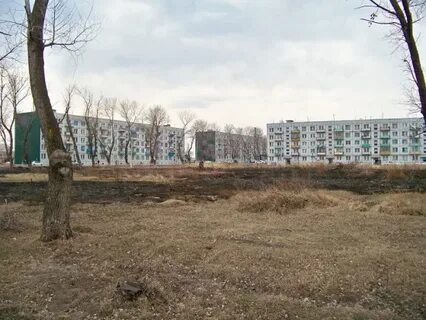Село черниговка приморский