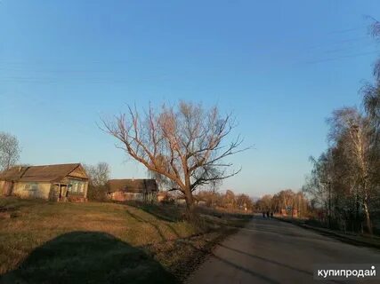 Погода с соловцово точная