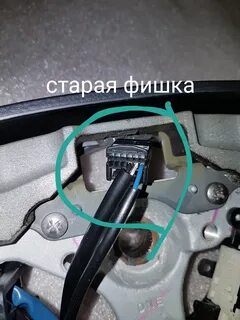 Провода прадо