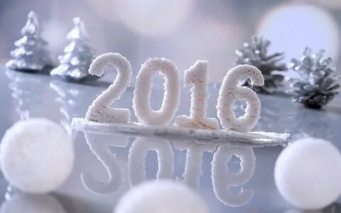 29 января 2016 года