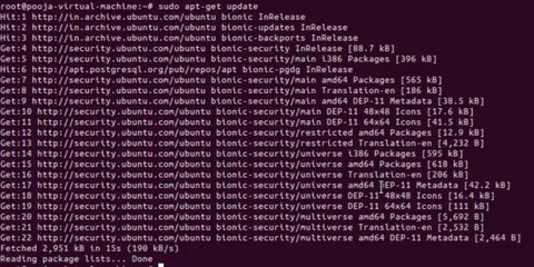 Sudo install git