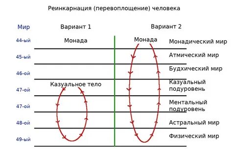 Каузальный это