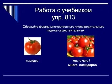 Помидор во множественном числе родительном падеже