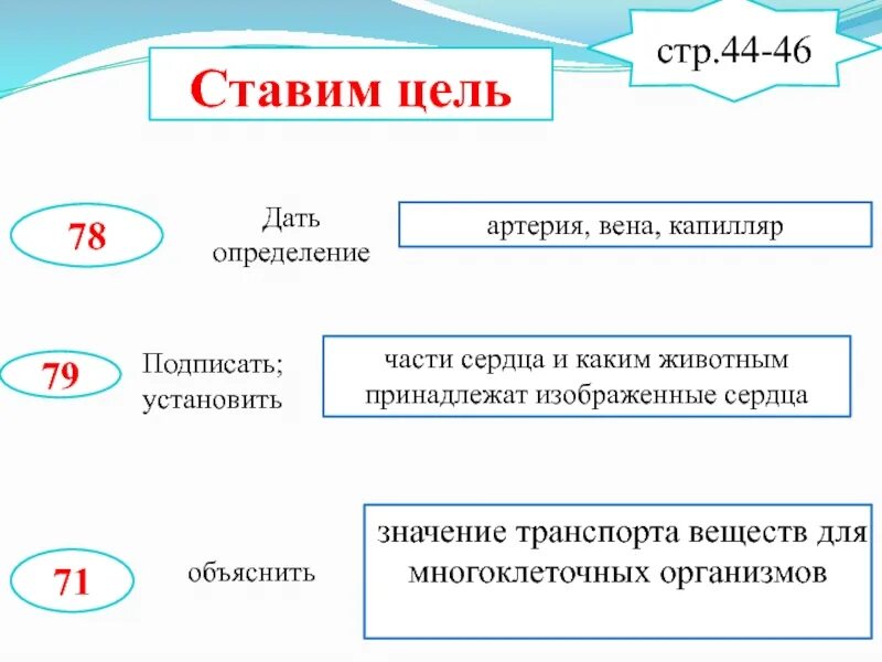 Какие вещества участвуют в транспорте веществ. Транспорт веществ у животных 6 класс. Какое значение сердца в транспорте веществ у животных. Каково значение сердца в транспорте веществ у животных. Каково значение транспорт веществ.