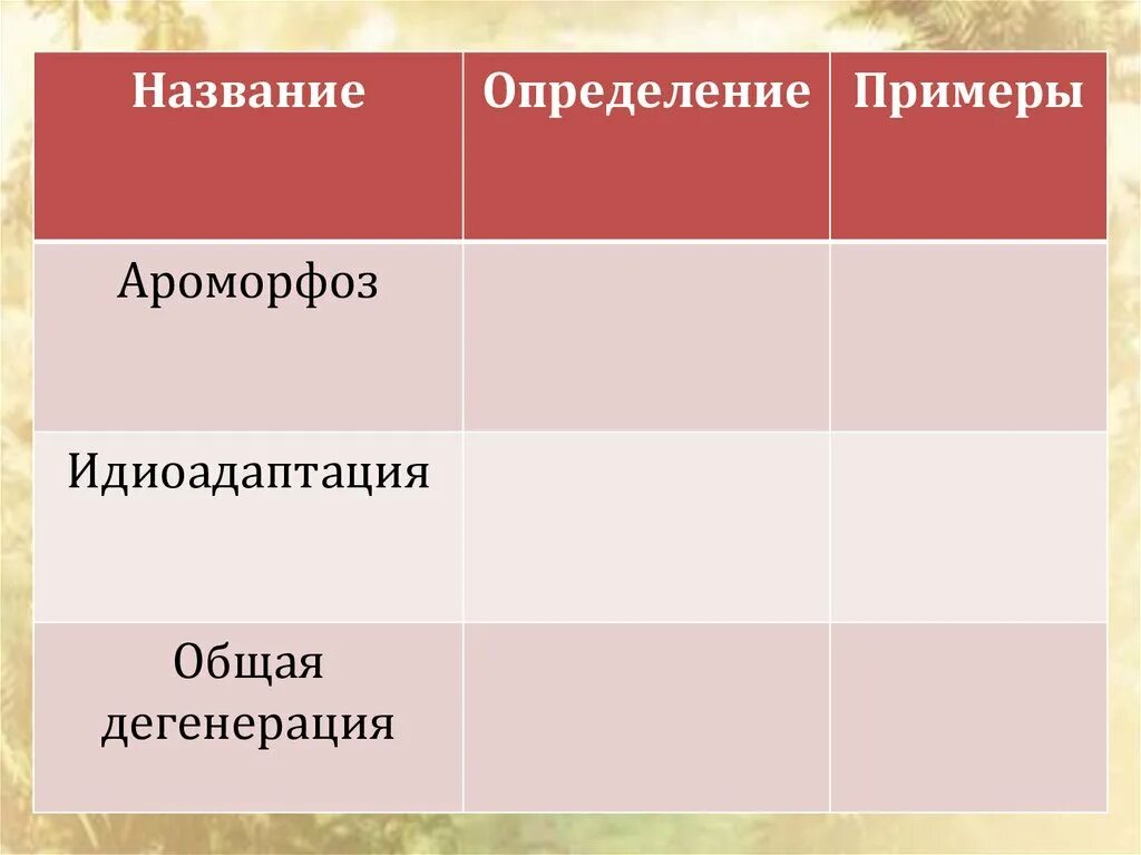 Лабораторная работа 3 изучение ароморфозов и идиоадаптаций