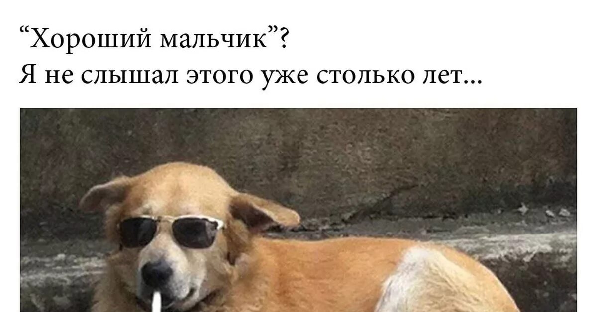 Странный юмор. Ситуация ты вроде мальчик не плохой. Ситуация ты вроде мальчик не плохой. А ты смешной. Ситуация ты вроде мальчик не плохой.